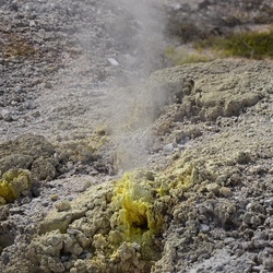 2017-03 New Zealand/Waiotapu/DSC_0306.JPG